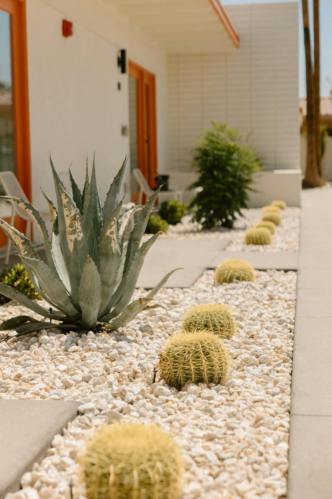 Hotel Mojave Resort Adults Only photo 2