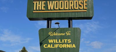 The Woodrose