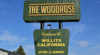 The Woodrose