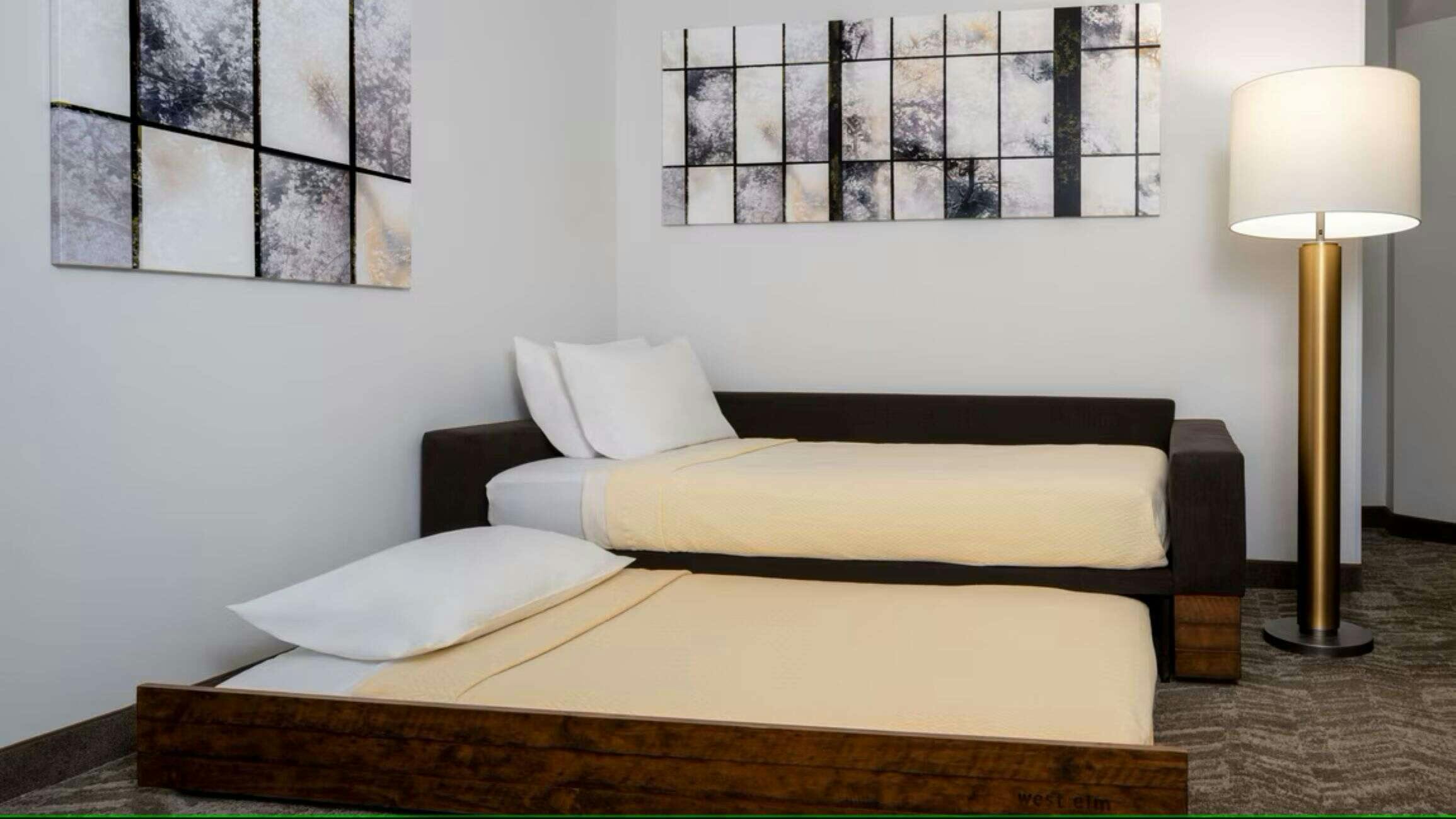 Hotel Springhill Suites by Marriott Gainesville photo 2