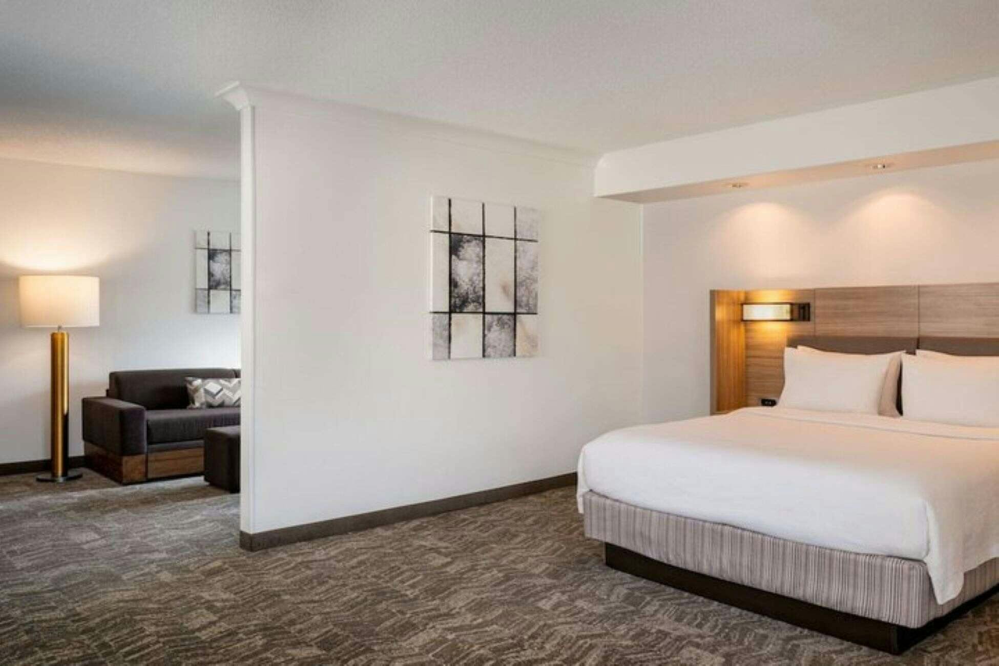 Hotel Springhill Suites by Marriott Gainesville photo 3