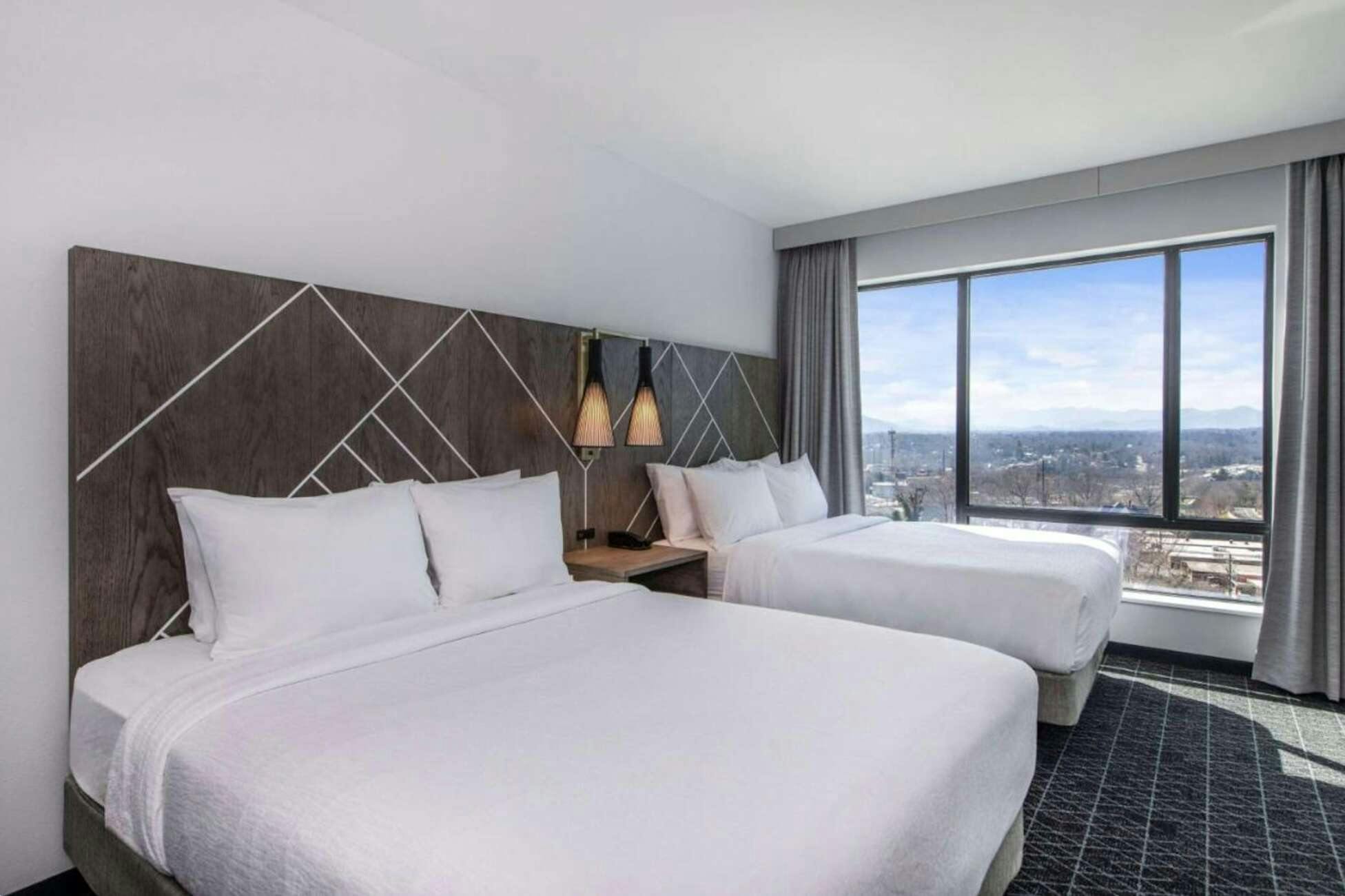 Hotel Embassy Suites by Hilton Asheville Downtown photo 2