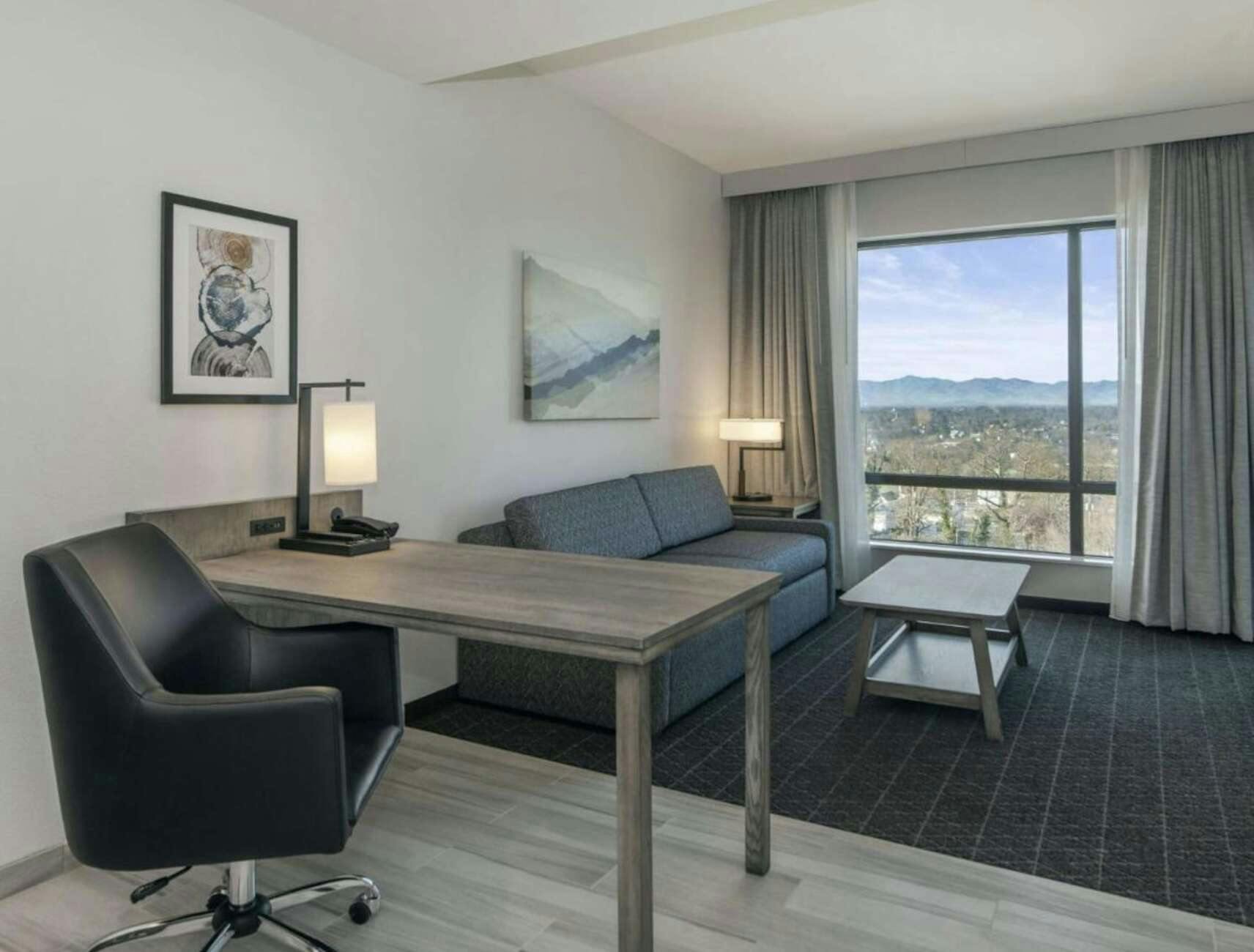 Hotel Embassy Suites by Hilton Asheville Downtown photo 5