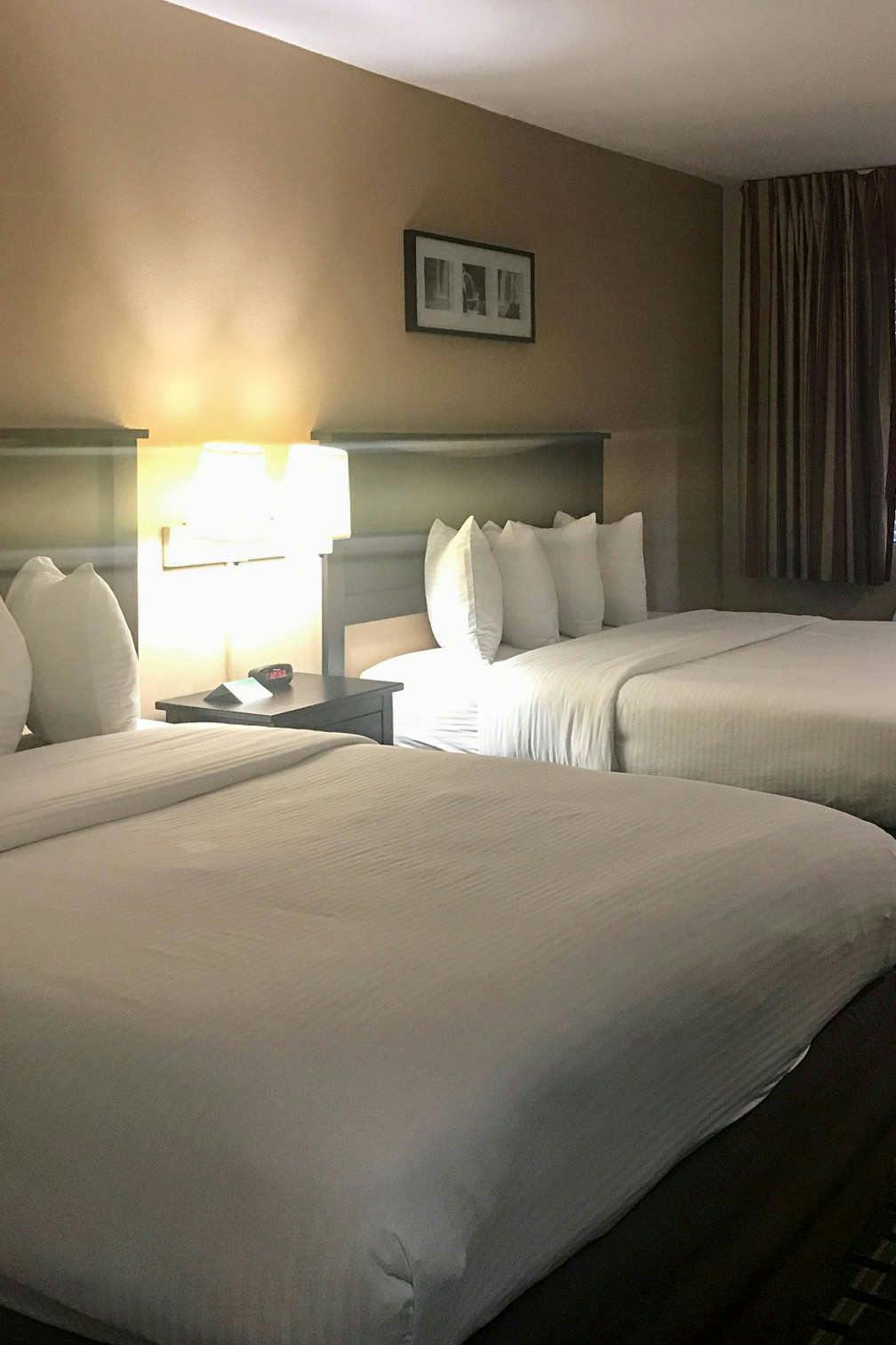 Hotel Stanford Inn & Suites Hotel photo 4