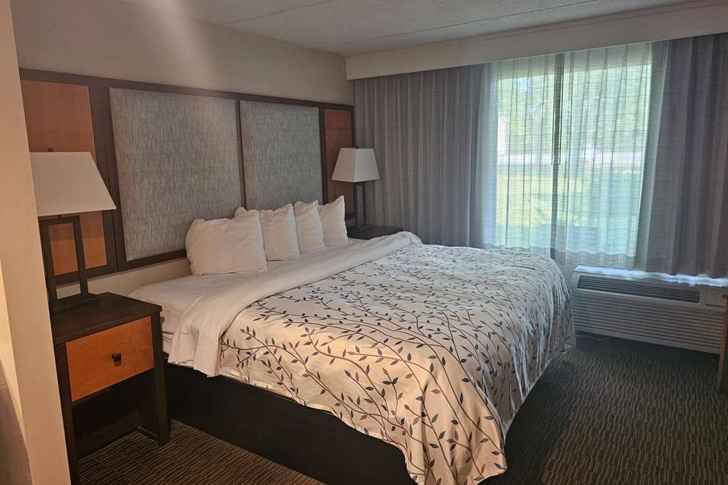 Hotel AmericInn BirchRun/Frankenmuth photo 1