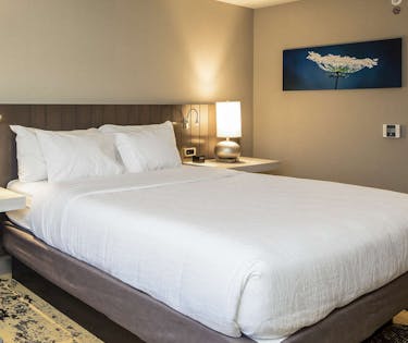 Hilton Garden Inn Pittsburgh Airport Pittsburgh Pit Hoteltonight