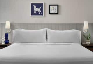 Hotel Sonesta ES Suites Sunnyvale photo 5