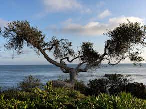 Hotel Casa Loma Beach Hotel (formerly The Inn at Laguna Beach) photo 5