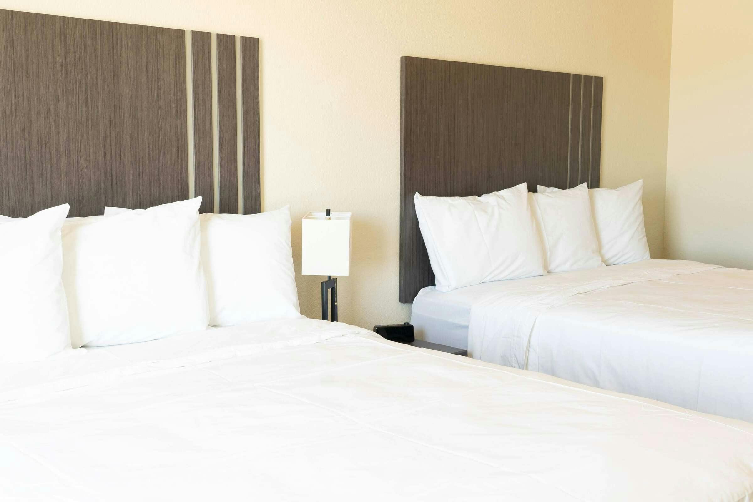 Hotel Iron Creek Inn & Suites photo 1