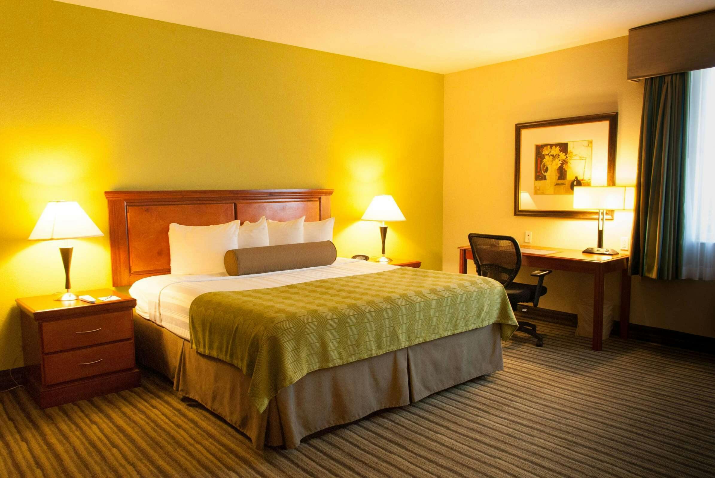 Hotel Best Western Plus Miami-Doral/Dolphin Mall photo 4