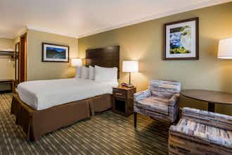 Hotel Best Western Holiday Hotel photo 2