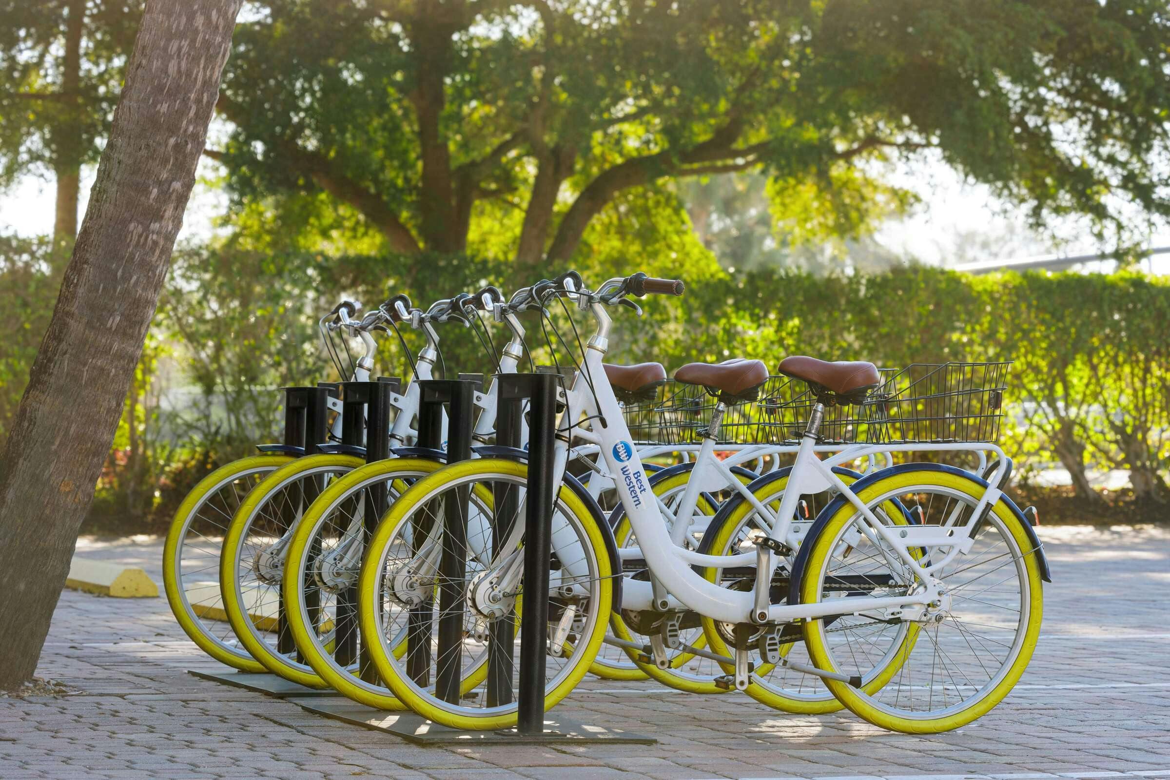 Hotel Best Western Naples Inn & Suites photo 5