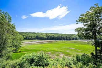 Hotel Best Western Freeport Inn photo 1