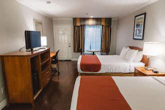 Hotel Best Western Palm Garden Inn photo 3