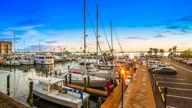 Hotel Best Western Plus Yacht Harbor Inn photo 3