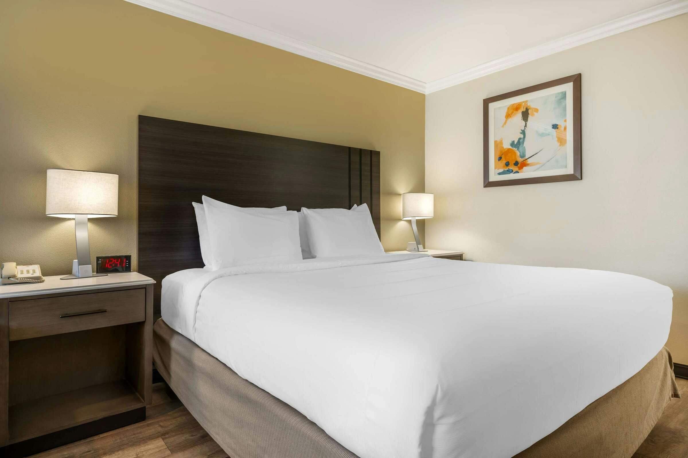 Hotel Best Western Plus Orange County Airport North photo 5