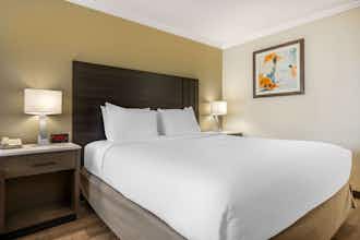Hotel Best Western Plus Orange County Airport North photo 5