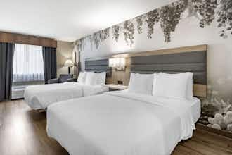 Hotel Best Western Plus Vineyard Inn photo 4