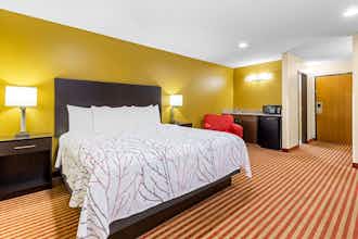 Hotel Best Western Jacksonville Inn photo 5