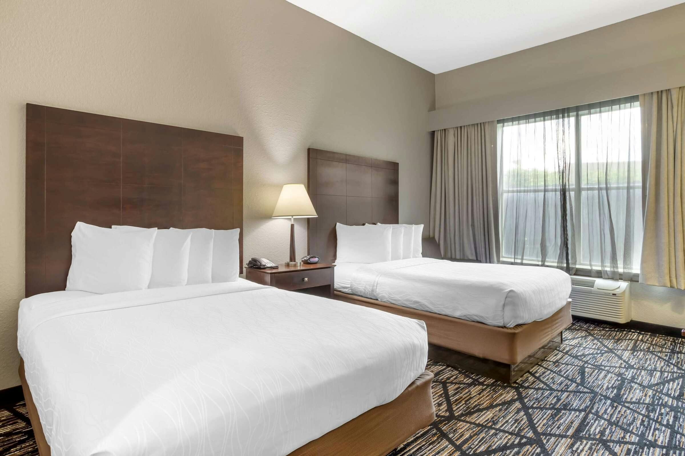 Hotel Best Western Plus Hobby Airport Inn & Suites photo 3