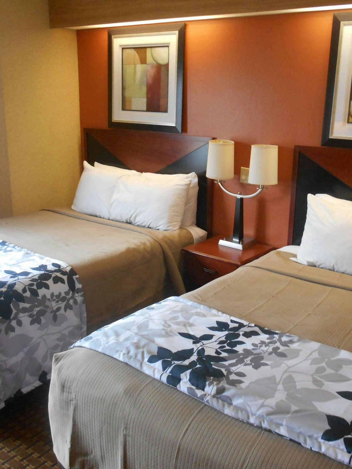 Hotel Motel 6 Indianapolis, IN - Airport photo 2