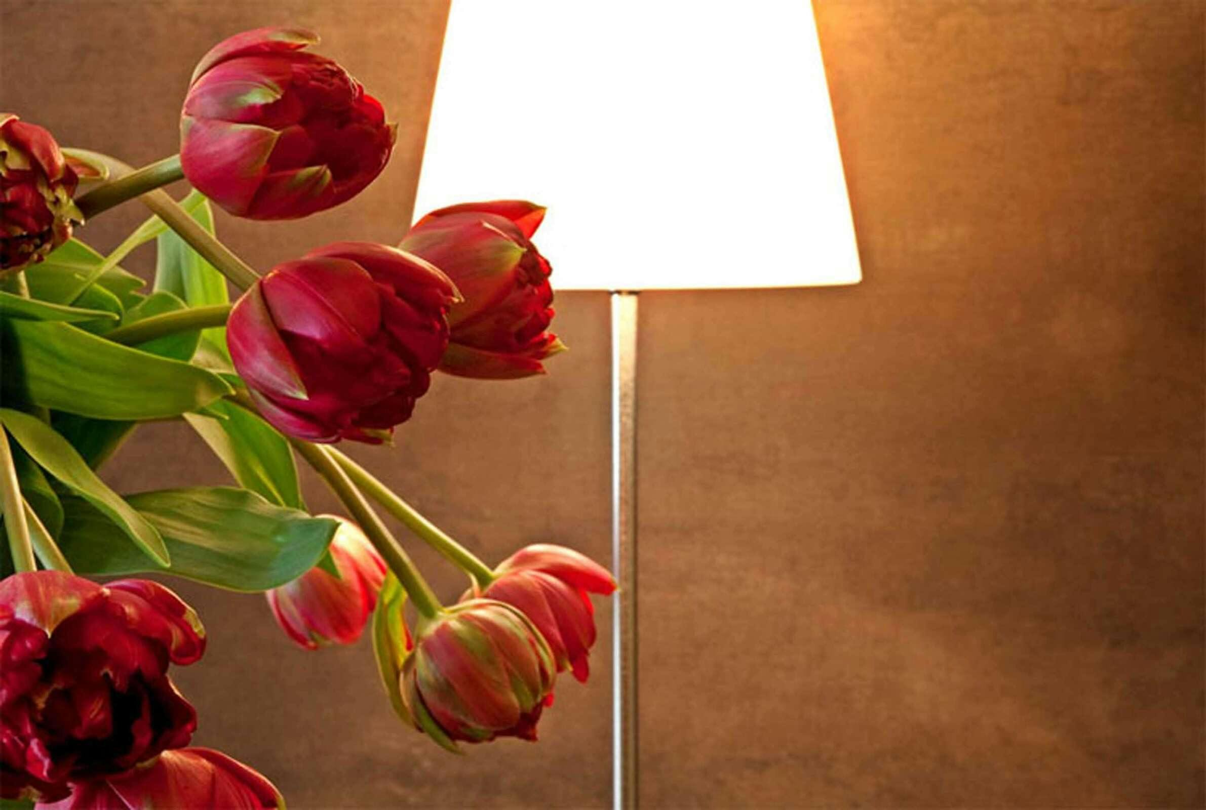 Hotel Best Western Hotel Metropoli photo 4