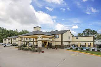 Hotel Best Western Pineywoods Inn photo 2