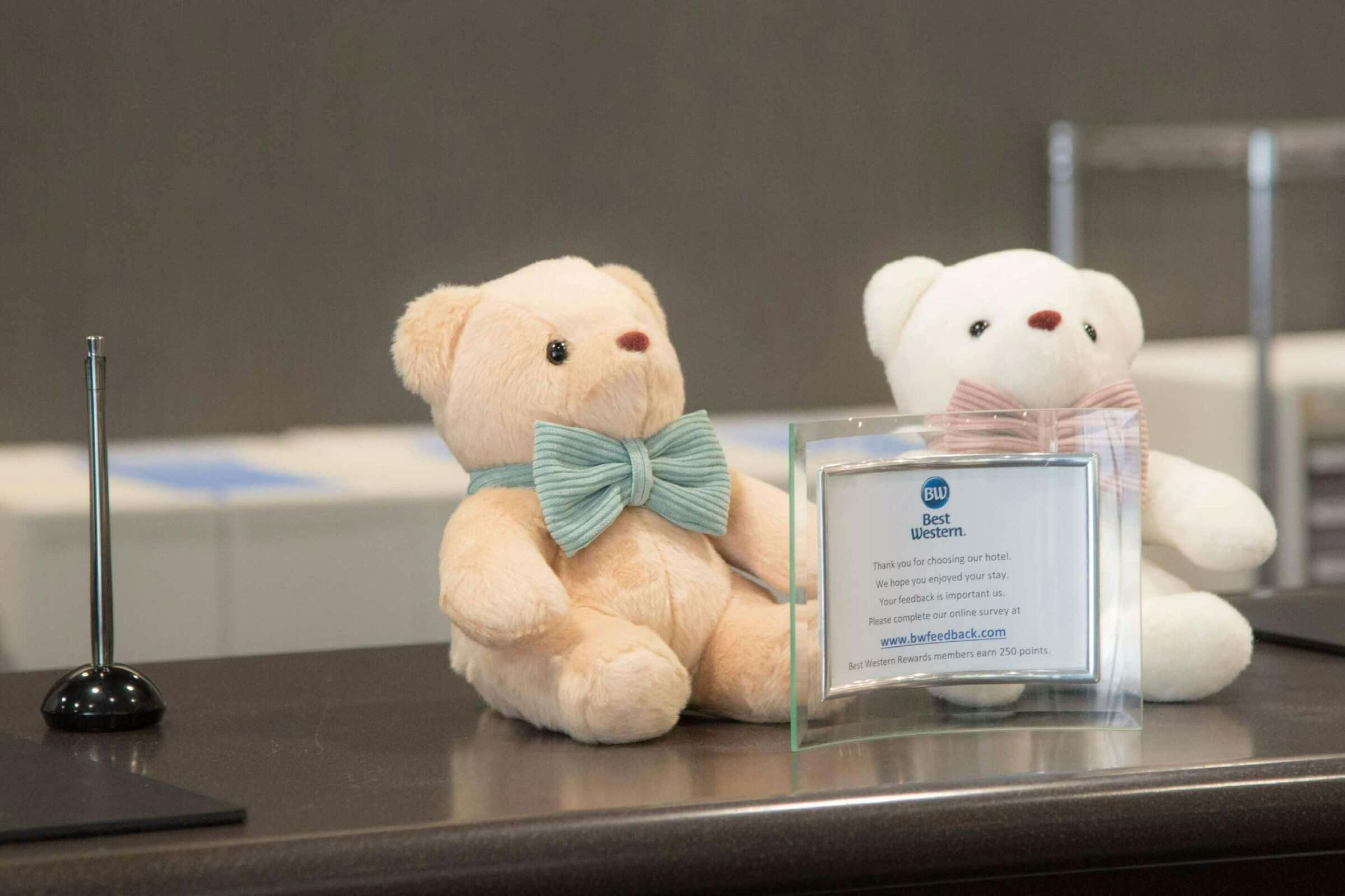 Hotel Best Western Osaka Tsukamoto photo 3