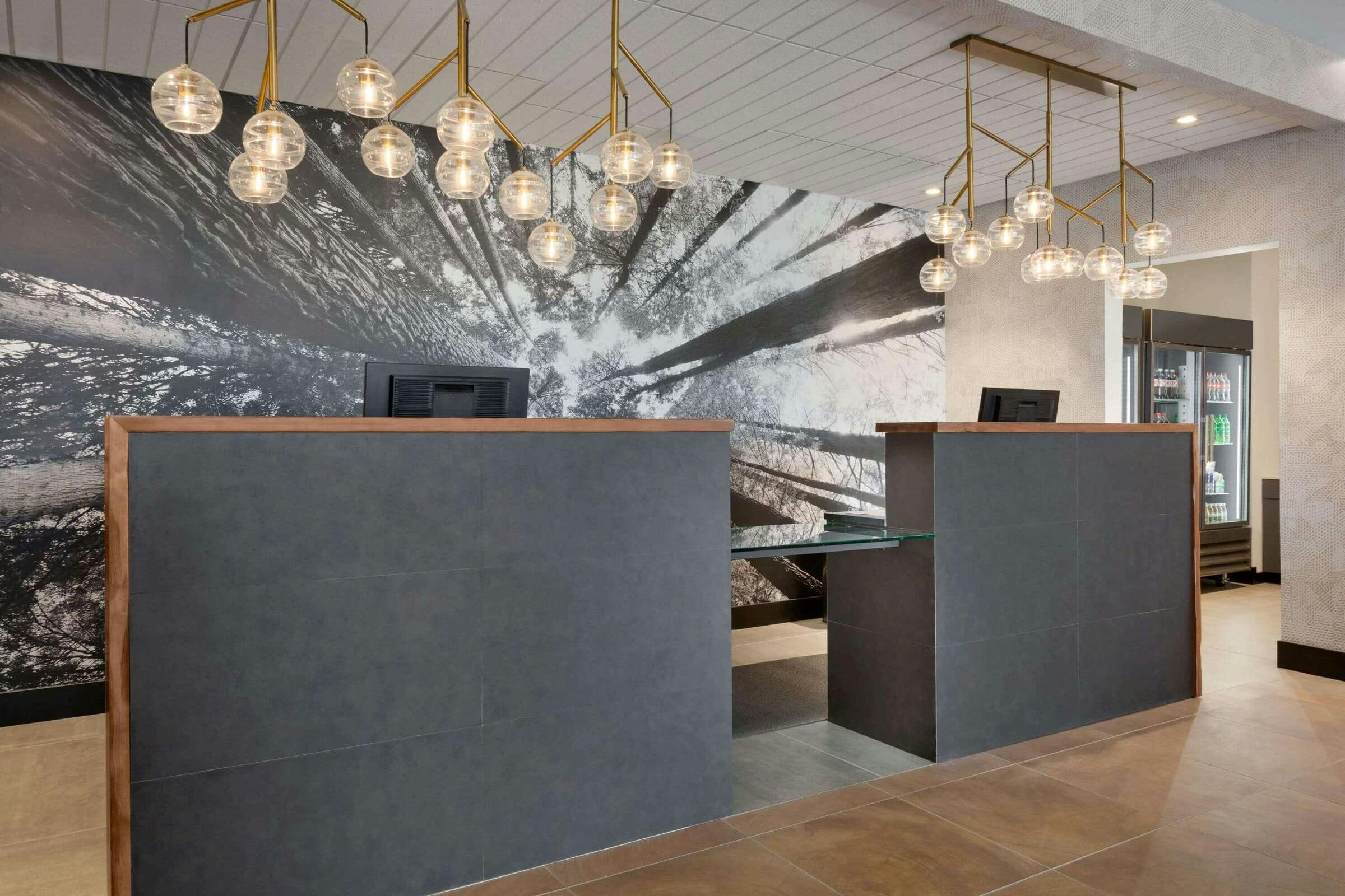 Hotel La Quinta Inn & Suites by Wyndham Santa Rosa Sonoma photo 4