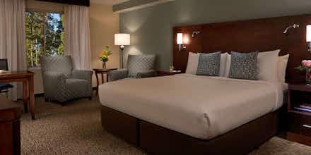 Hotel Millennium Hotel Durham photo 1