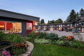 Hotel Thriftlodge Edmonton photo 4