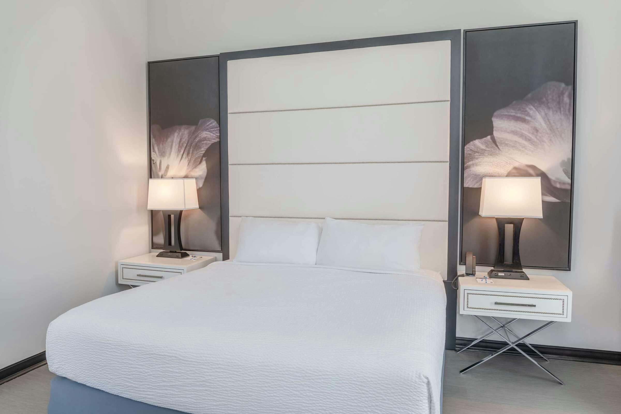 Hotel TRYP by Wyndham Savannah Downtown/Historic District photo 1