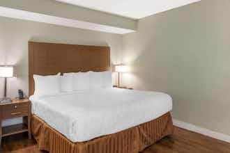 Hotel Best Western Inn at Palm Springs photo 3