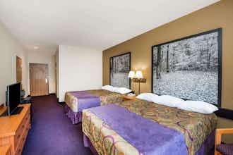 Hotel Super 8 by Wyndham Columbia East photo 5