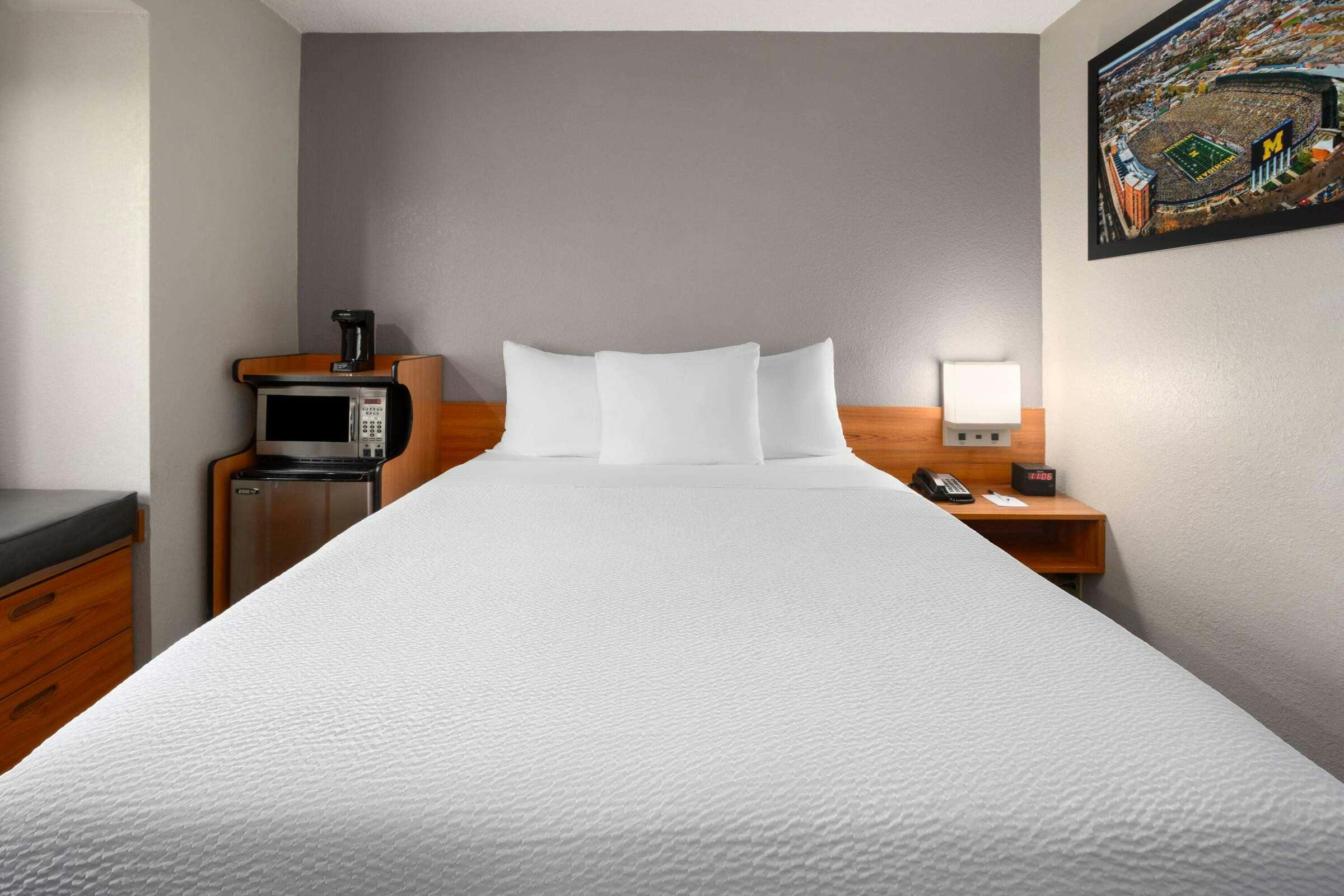 Hotel Microtel Inn & Suites by Wyndham Ann Arbor photo 2