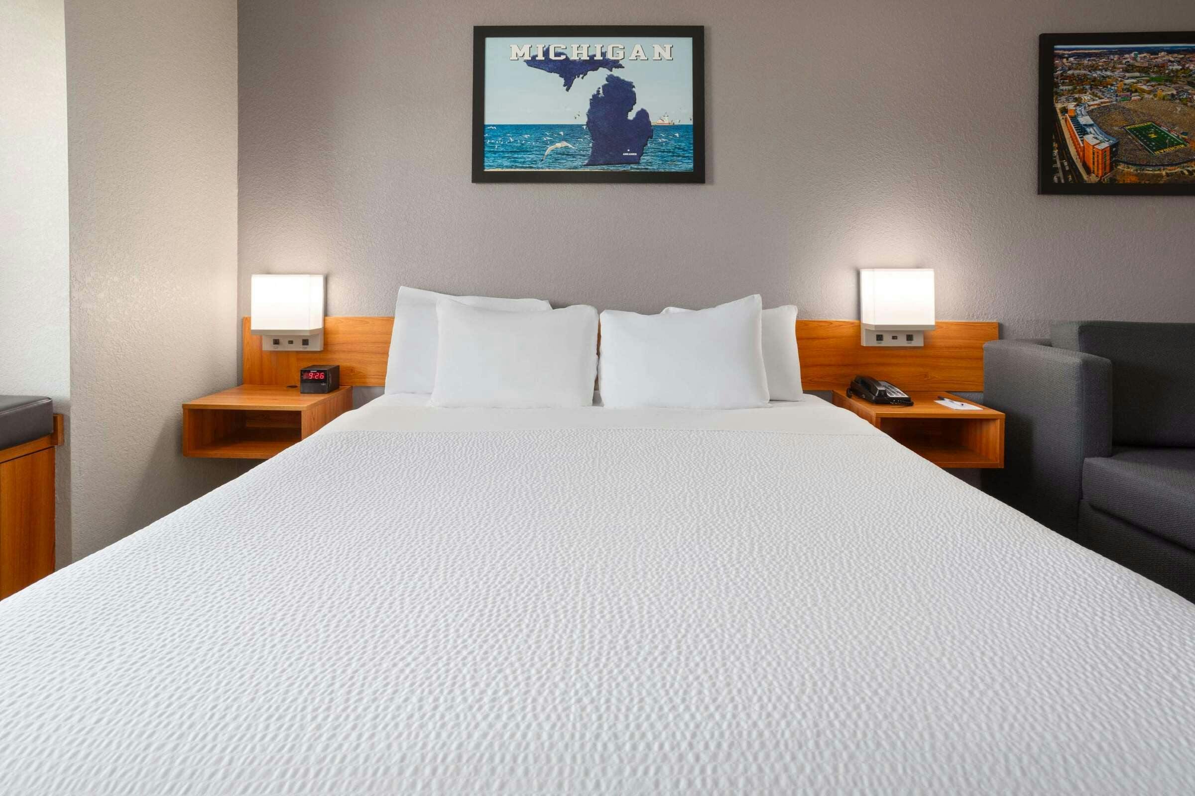 Hotel Microtel Inn & Suites by Wyndham Ann Arbor photo 3