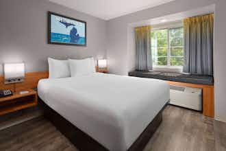 Hotel Microtel Inn & Suites by Wyndham Ann Arbor photo 4