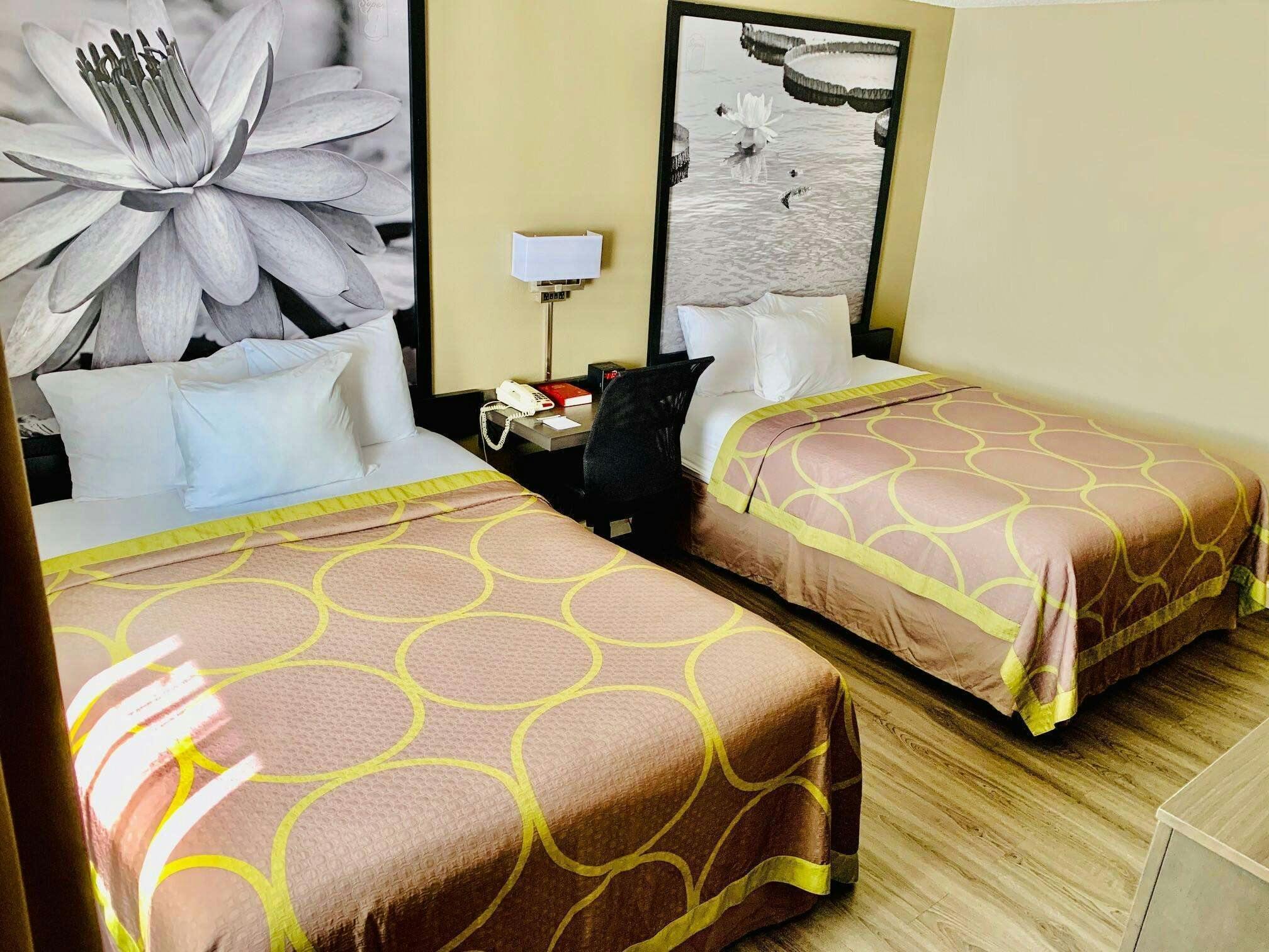 Hotel Super 8 Gainesville I-75 Univ photo 5