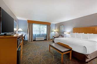 Hotel Best Western Plus Gran Tree Inn photo 2