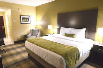 Hotel Best Western Plus New Orleans Airport Hotel photo 2