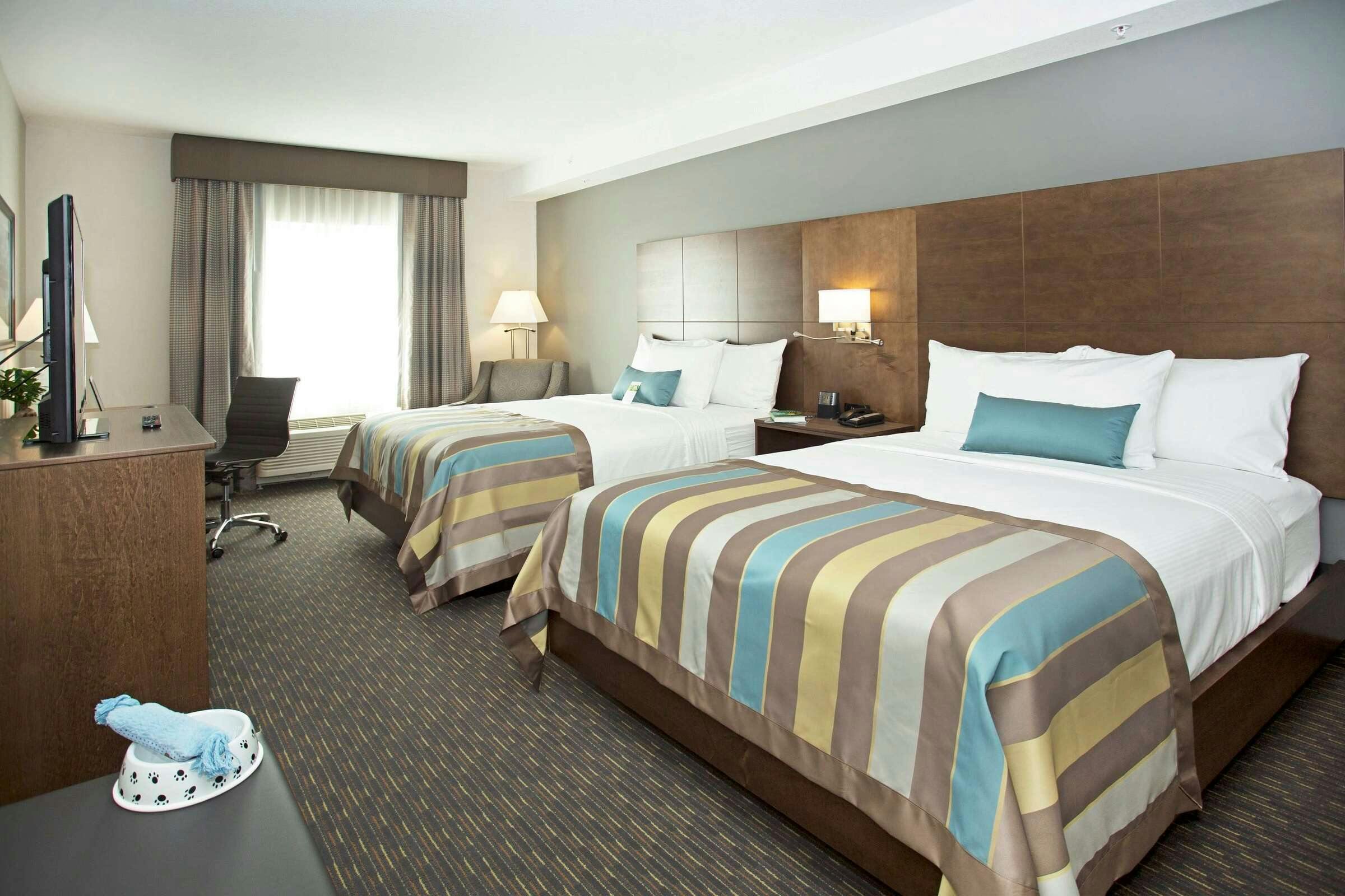 Hotel Wingate Calgary Airport photo 2