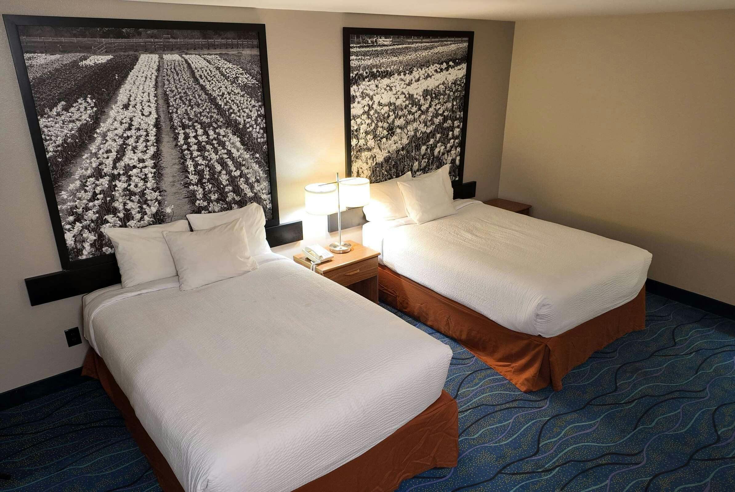 Hotel Super 8 Hampshire IL photo 1