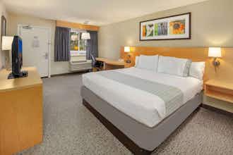 Hotel Hotel Nexus photo 4