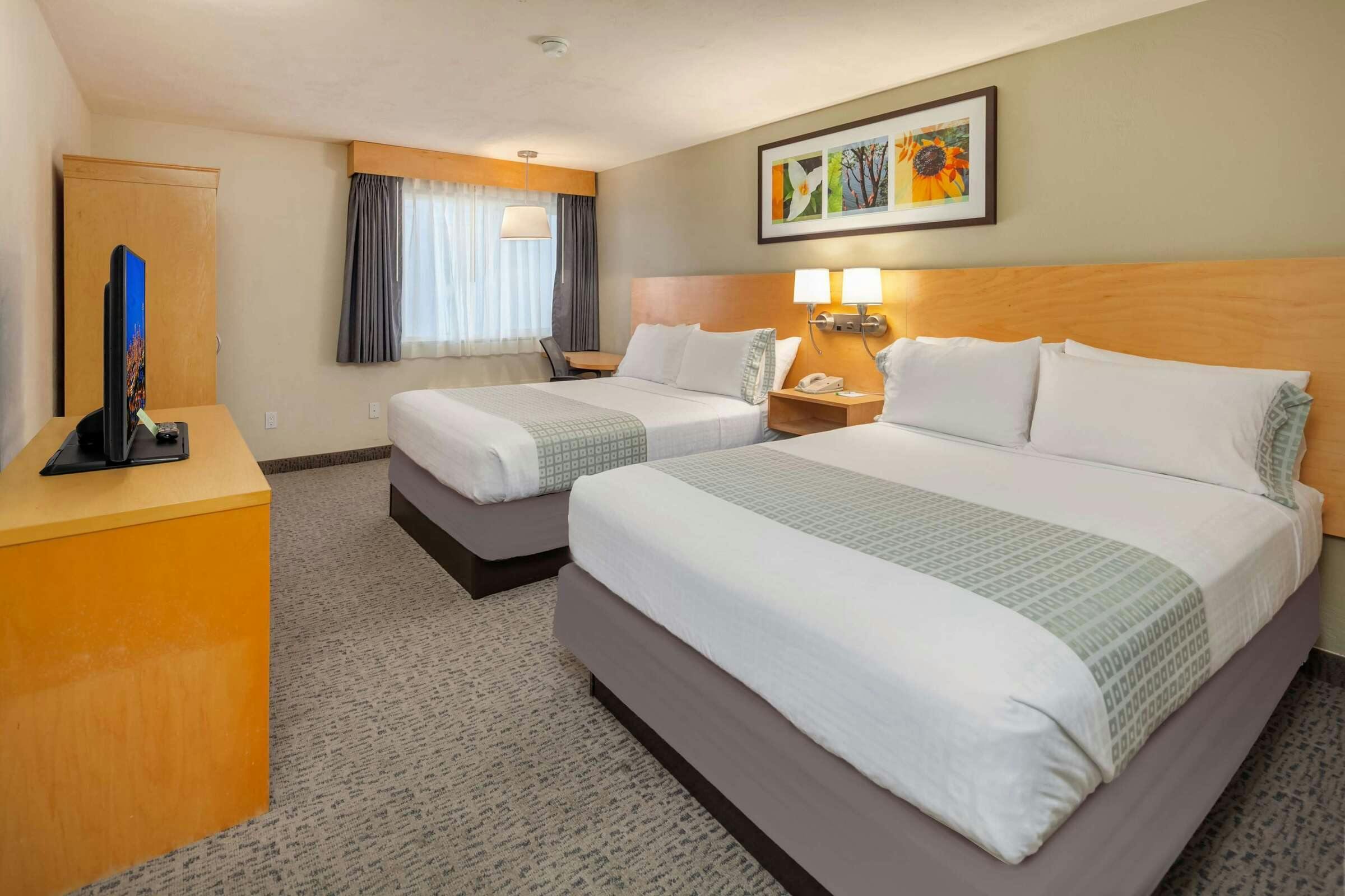 Hotel Hotel Nexus photo 3