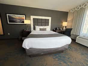 Hotel Best Western Erie Inn & Suites photo 3