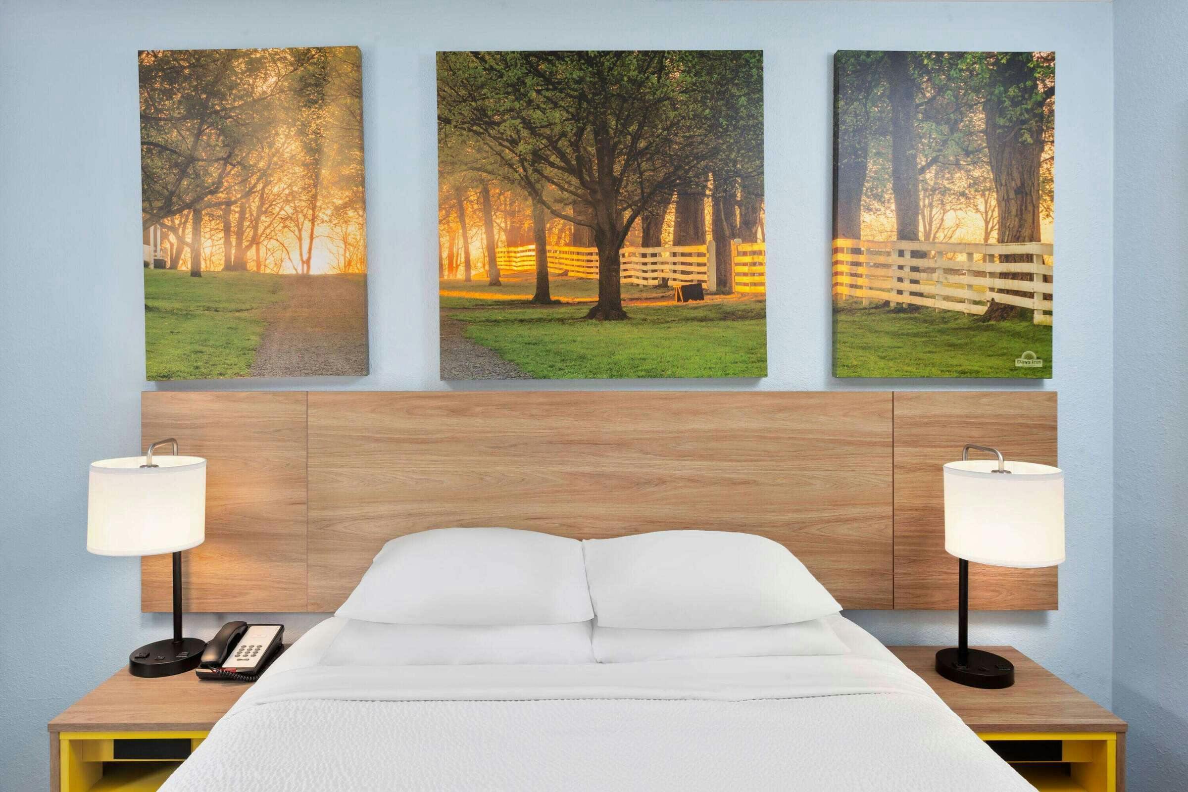 Hotel Days Inn & Suites by Wyndham Siler City photo 4