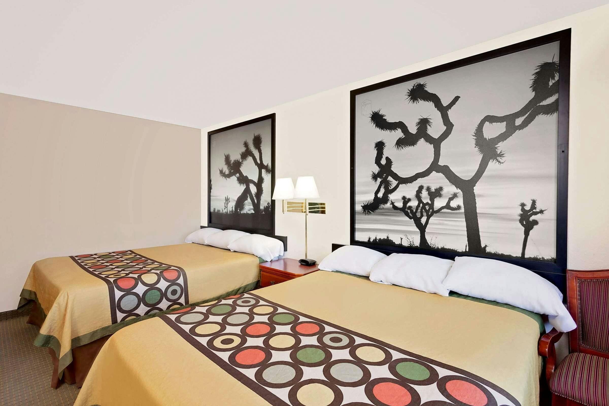 Hotel Super 8 Yucca Val Jshua Tree N photo 5