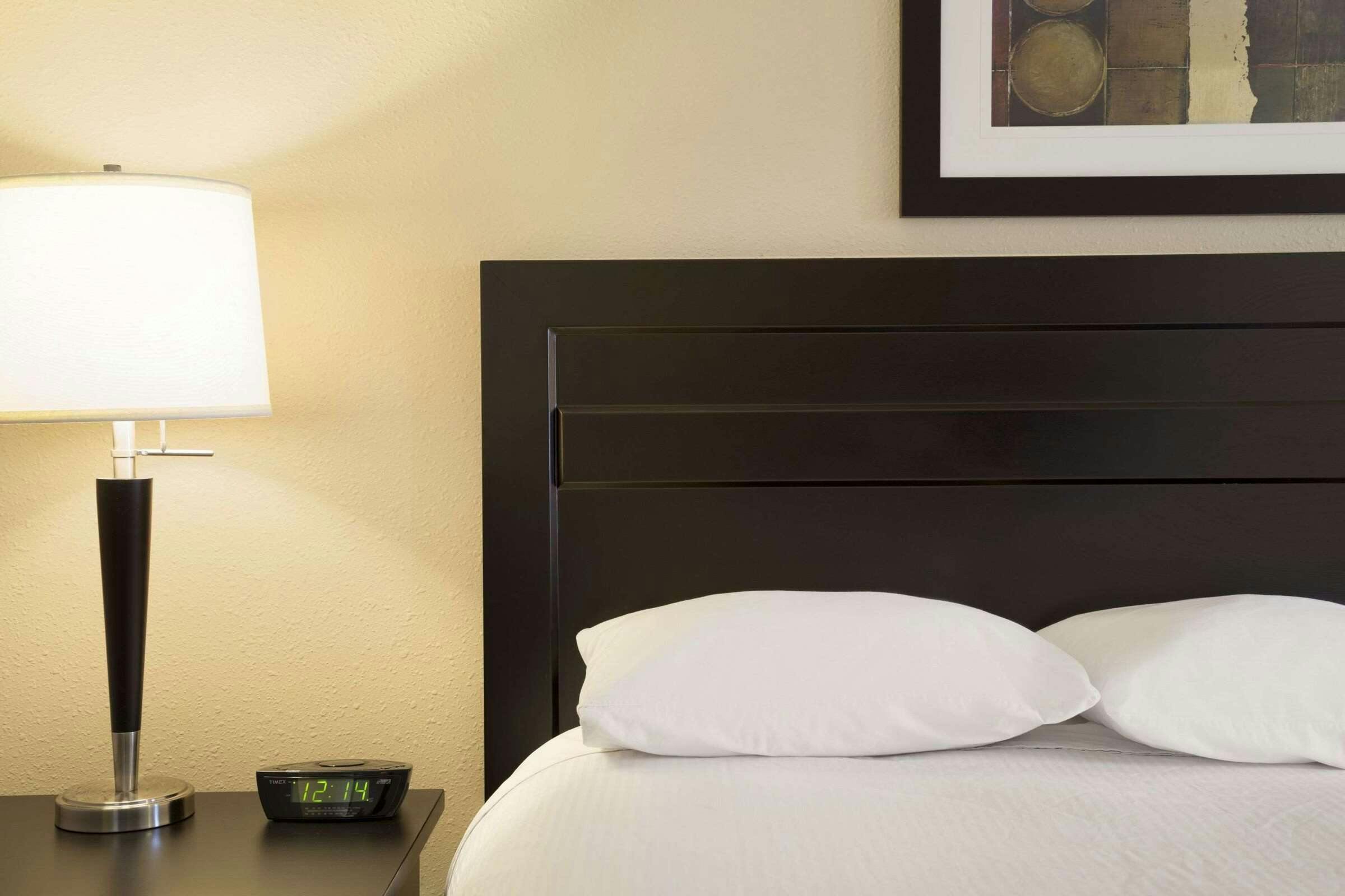 Hotel Super 8 Edmonton Intl Arpt photo 5