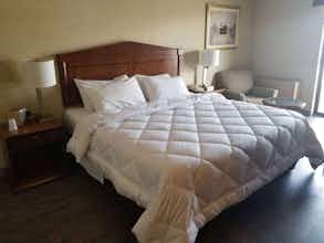 Hotel Travelodge by Wyndham Welland photo 4