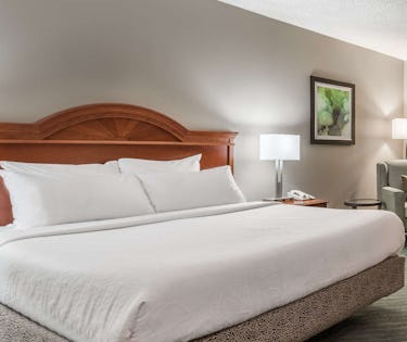 Hilton Garden Inn Orlando International Drive North Orlando